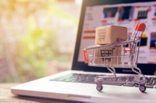 Article : Le e-commerce, l’avenir du shopping ?