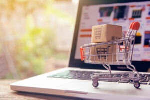 Article : Le e-commerce, l’avenir du shopping ?
