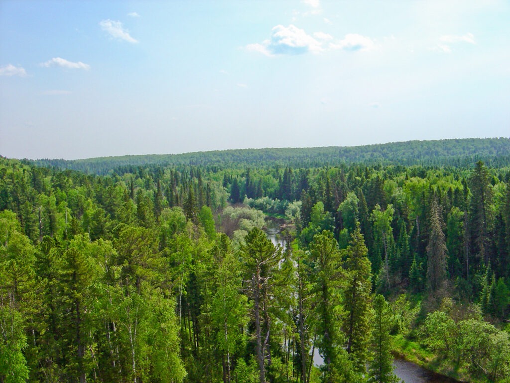 Article : L’importance des réserves naturelles